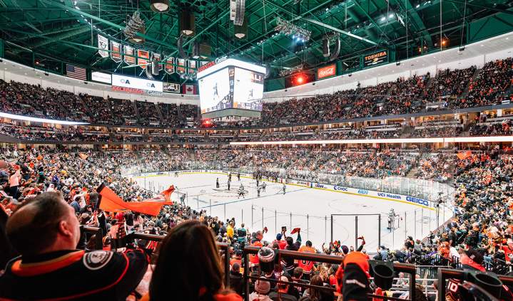 Honda Center Ducks Game
