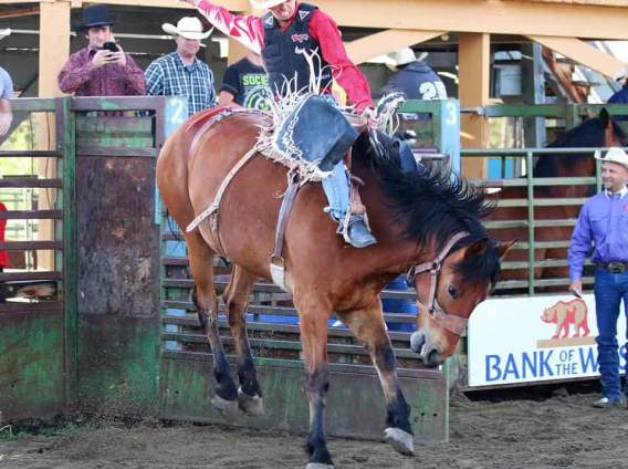 High Country Stampede Rodeo | Fraser, CO