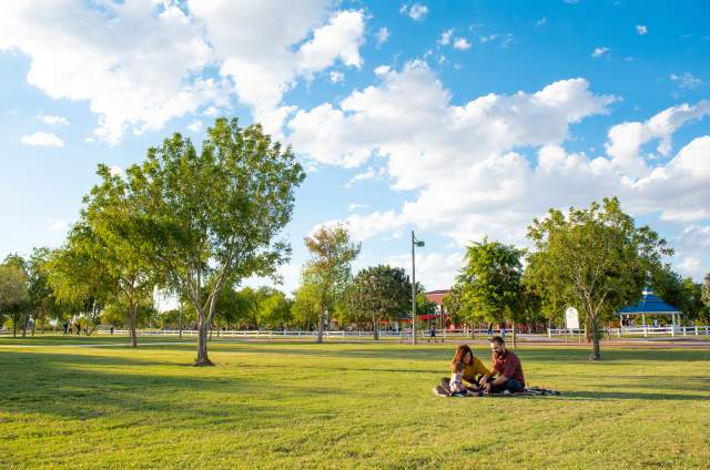 Best Spots for a Picnic in Chandler, Arizona
