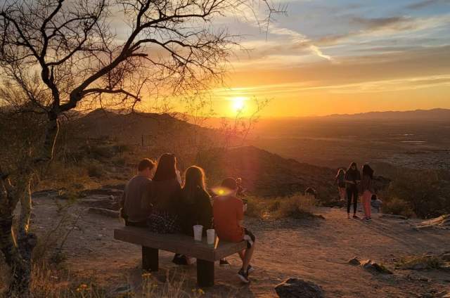 Four Places to Hike (or Walk) through the Sonoran Desert in Chandler, AZ