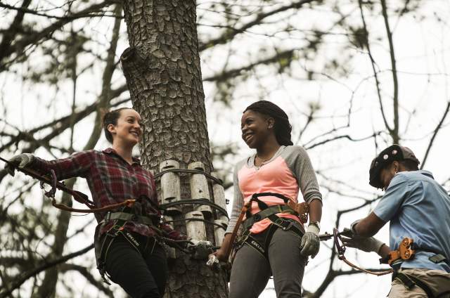 Treetop Quest Friends in Harnesses