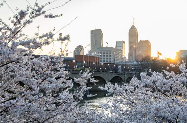 Greener Gatherings Start Here: Sustainable Event Planning in Indianapolis