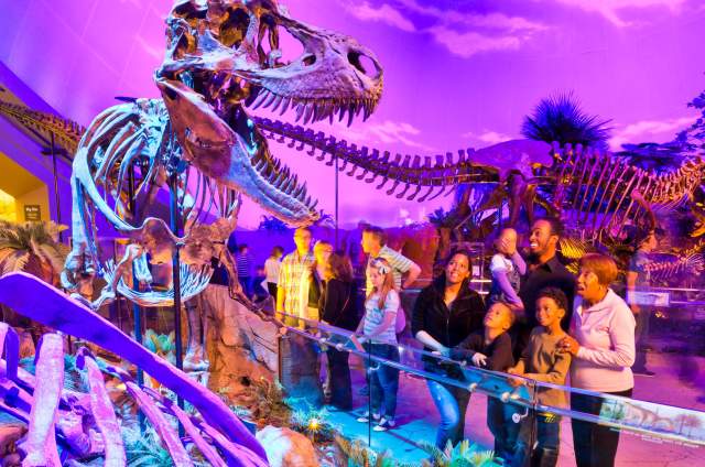 100 Years of The Children's Museum of Indianapolis: Unique Event Venues in Indy