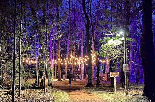 Winter Wonders: Our Top Ten Posts of 2025