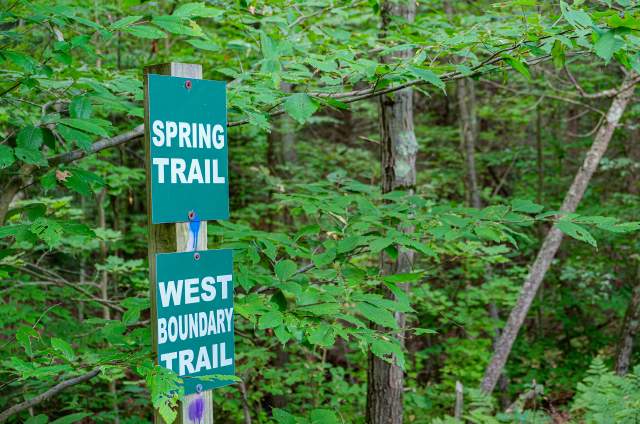 The Best and Most Beautiful Hikes in Muskegon, Michigan
