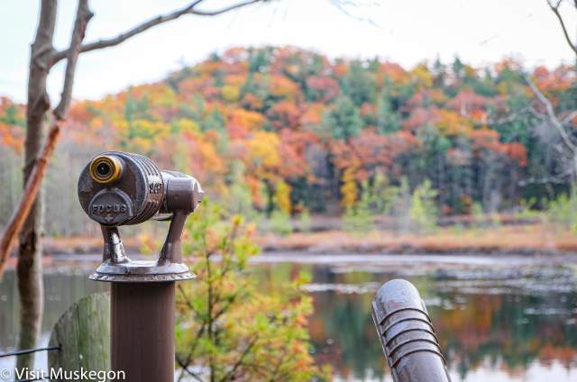 Lost Lake: Discover a Hidden Gem in Muskegon State Park