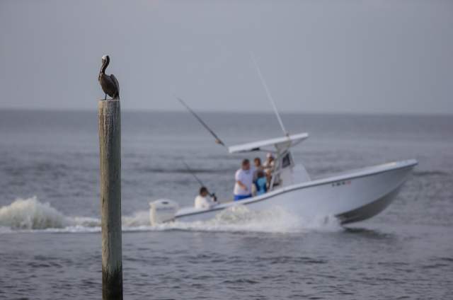 92nd Annual Alabama Deep Sea Fishing Rodeo
