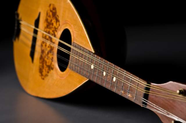 Michigan Mandolin Orchestra at The Playhouse at White Lake