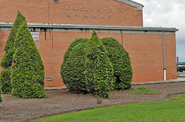 Ross online cool springs