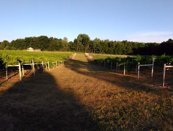 River Raisin Wine Trail