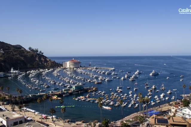 Things to Do After 3 pm - Catalina