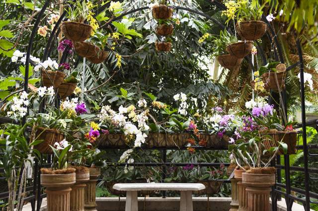 Best Events in Fort Wayne, Indiana this February