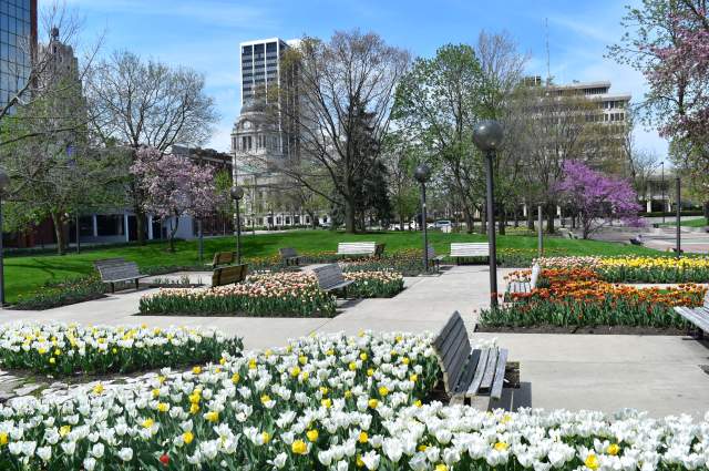 Fort Wayne in Bloom This Spring
