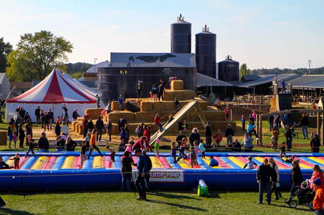 Enjoy Fall on the Farm at the Kuehnert Dairy Fall Festival