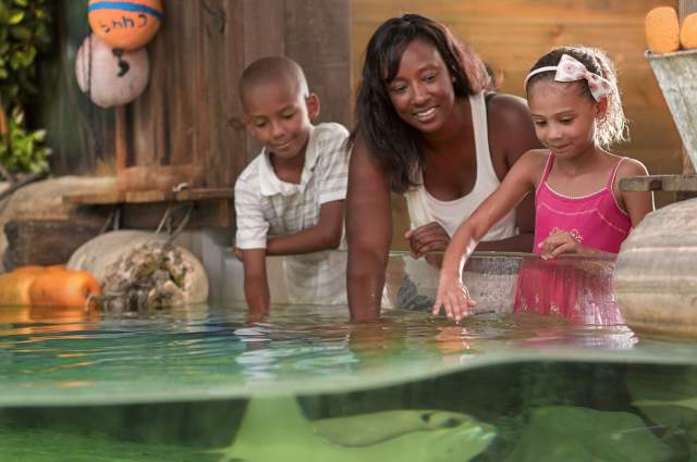 Mother's Day Events in Fort Wayne, Indiana