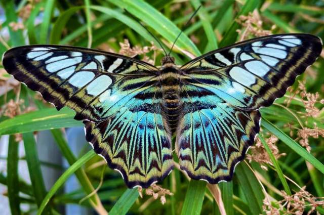 Best Events in Fort Wayne, Indiana this May