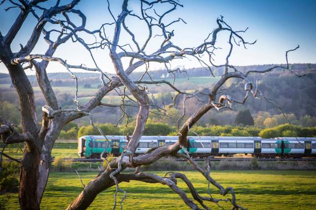 an image of a train travelling through countryside with arundel hills in the background
