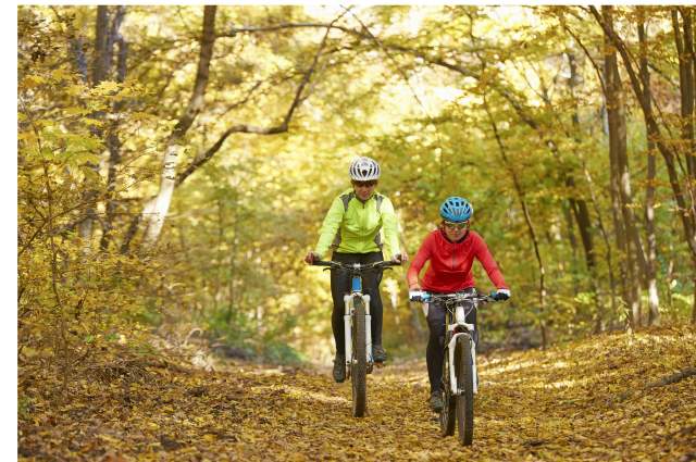 Two cyclists riding along a leafy path on the Cuckoo trail, Wealden