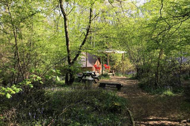 Woodland Glamping at Wild Boar Wood Campsite