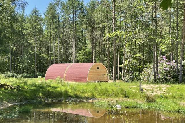 wooden glamping pod in the woods next to a pond