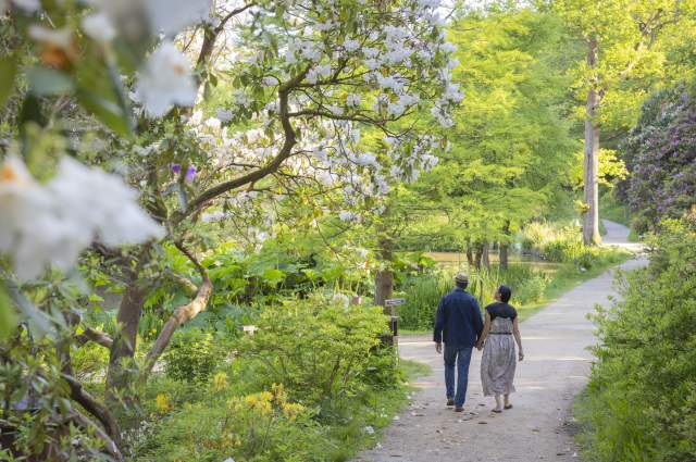 A couple walk along a path surrounded by spring flowers and trees in Leonardslee Gardens, Sussex