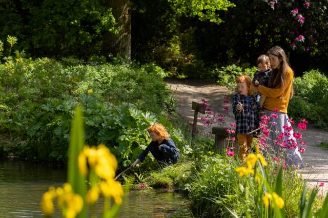 Family fun at Leonardslee Gardens - a family pond dipping in the sunshine