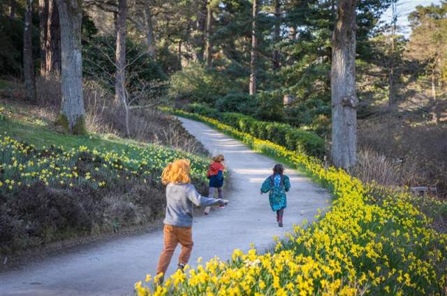 Leonardslee Gardens in Springtime