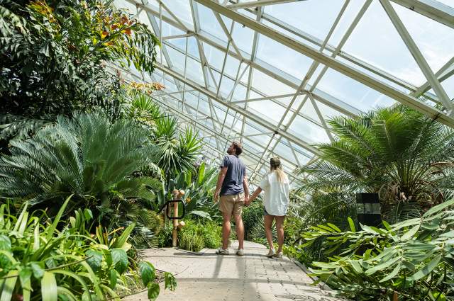 Foellinger-Freimann Botanical Conservatory