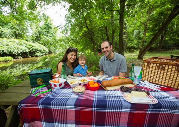 Railroad Picnic Special