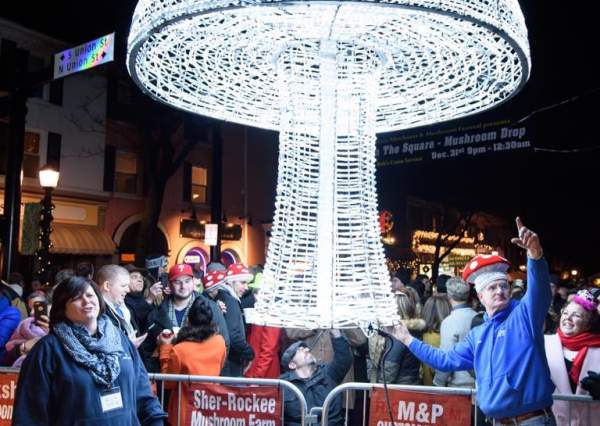 Mushroom Drop
