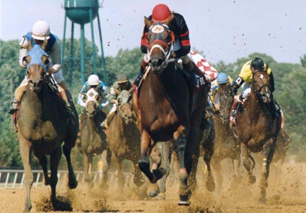 Delaware Park Casino & Racing