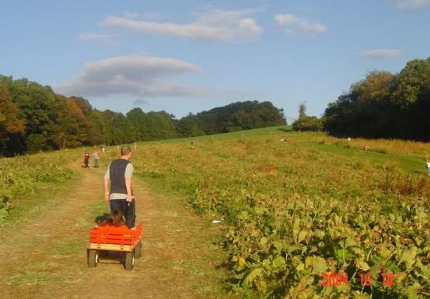 Ramsey's Farm