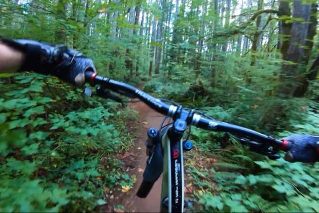 Experience Mountain Biking
