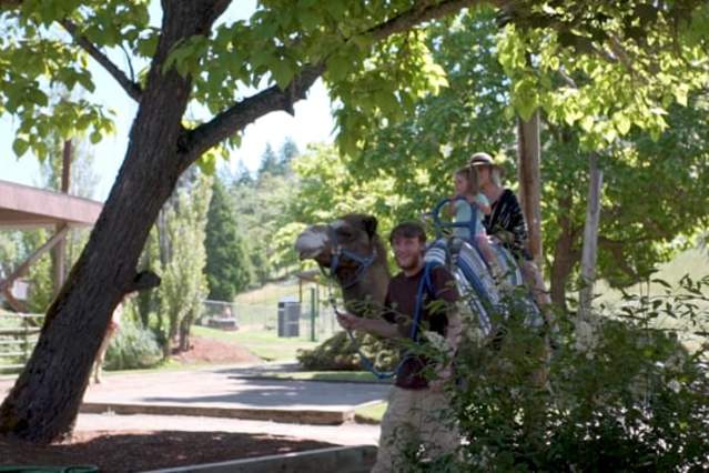 Experience Wildlife Safari