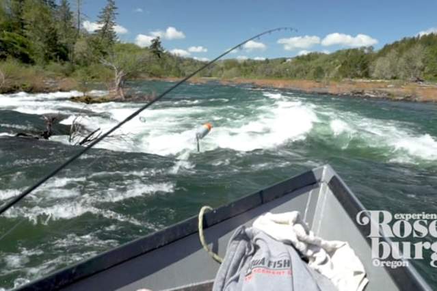 Experience Winter Steelhead Fishing