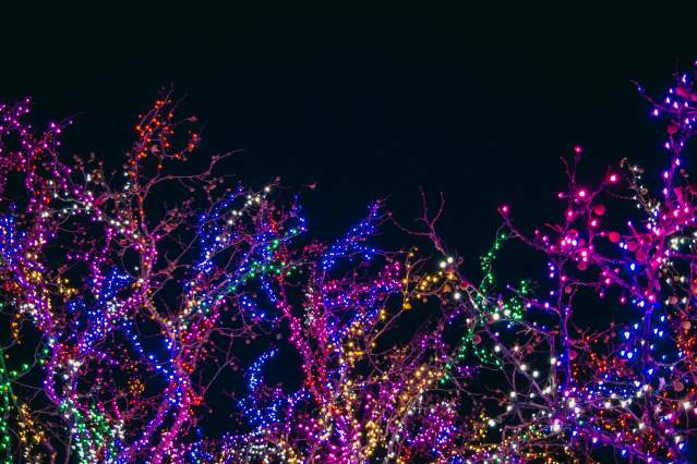 The 2025 Holiday Lights Guide