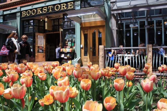 Tulips in front of Boulder Bookstore