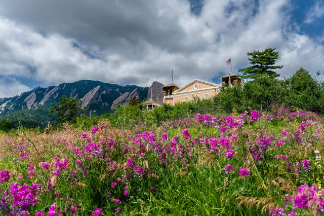 Looking up at the Chautauqua Auditorium and the Flatirons behind, with purple flowers in foreground