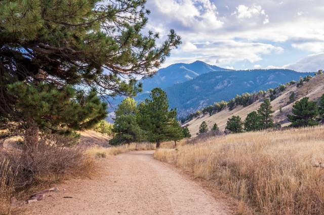 An open trail at Mount Sanitas with gorgeous mountain views, pine trees and golden fields on a sunny winter's evening