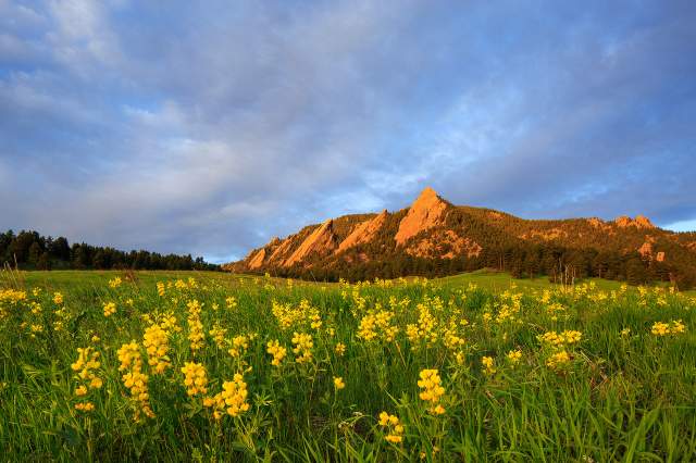 Flatirons with Yellow Flowers