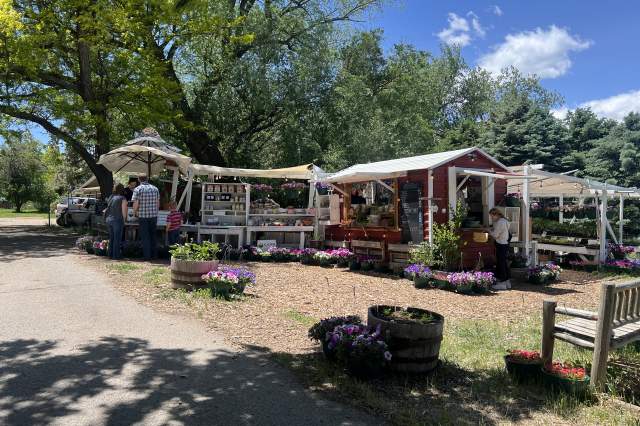 Cure Organic Farm Stand