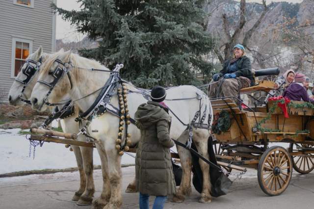 Chautauqua Winterfest Horse and Carriage