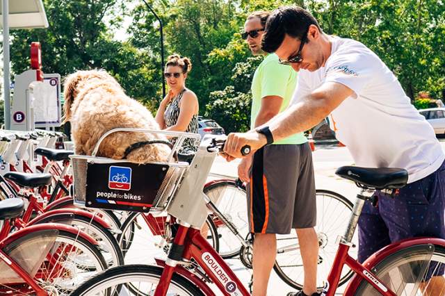 Pets & people using the bike rentals in Boulder