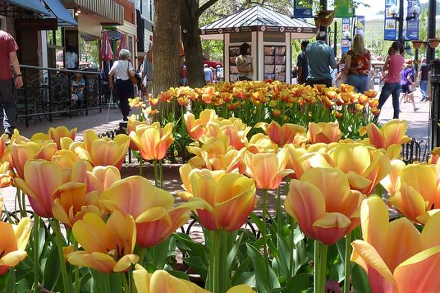 Boulder Arts and Culture