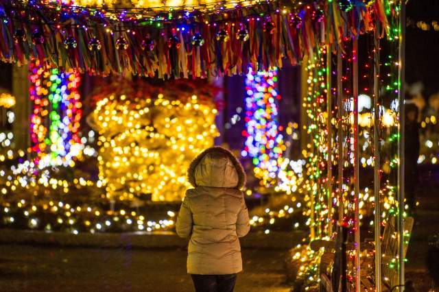 Annual Events & Festivals