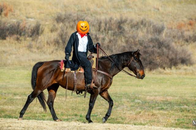 Spooktacular Fun in October