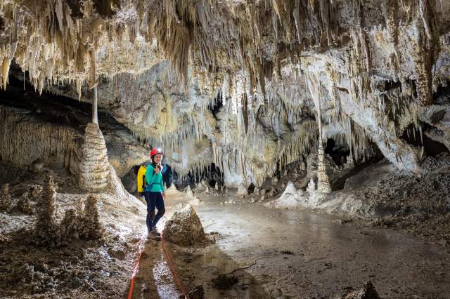 Marvel at the otherworldly landscape in Carlsbad Caverns’ Lower Cave, New Mexico Magazine