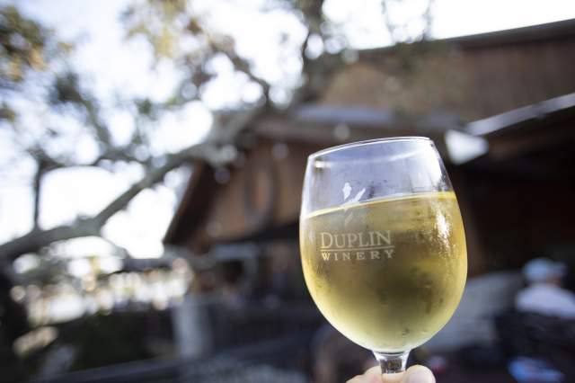 The Ultimate Duplin Winery Experience in North Myrtle Beach