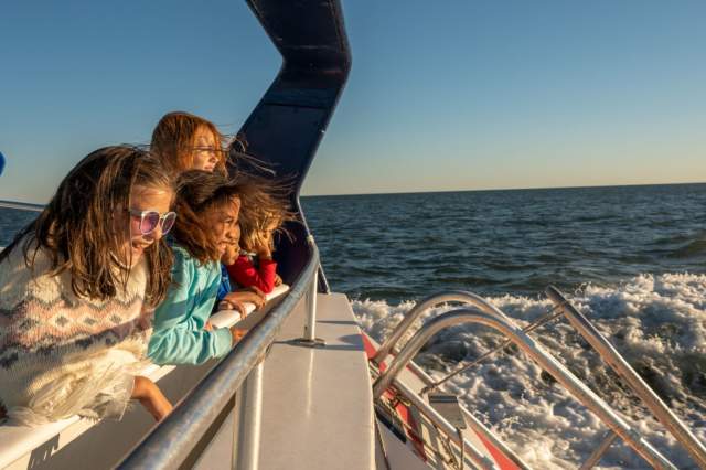 A family leaning on the rail of a boat, looking at dolphins