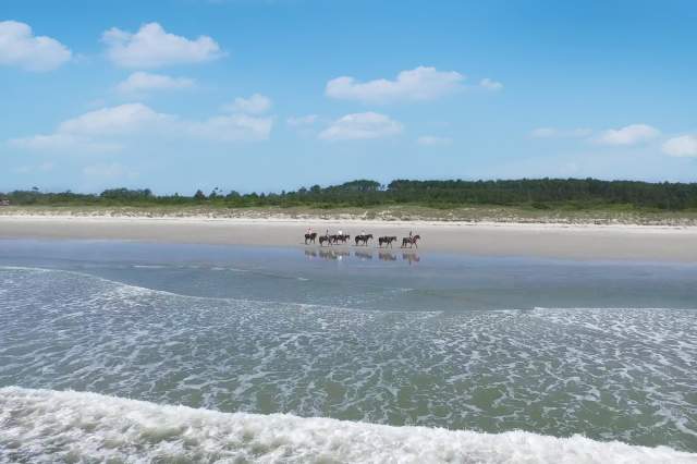 Take a Trip to Waites Island